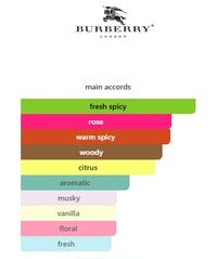 Burberry BRIT for Him EDT 100mL 3.3FL OZ Item 31