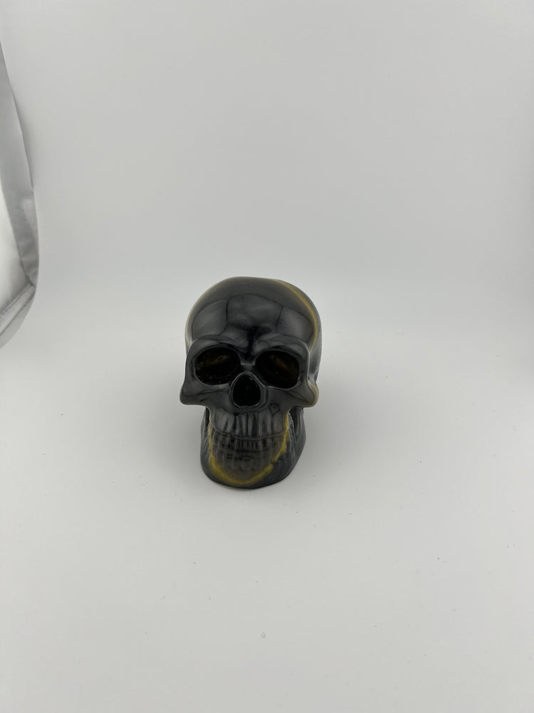 Resin Skull 1