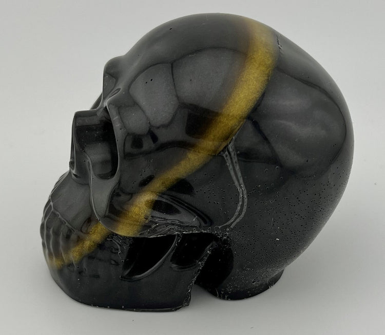 Resin Skull 1