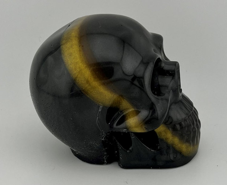 Resin Skull 1