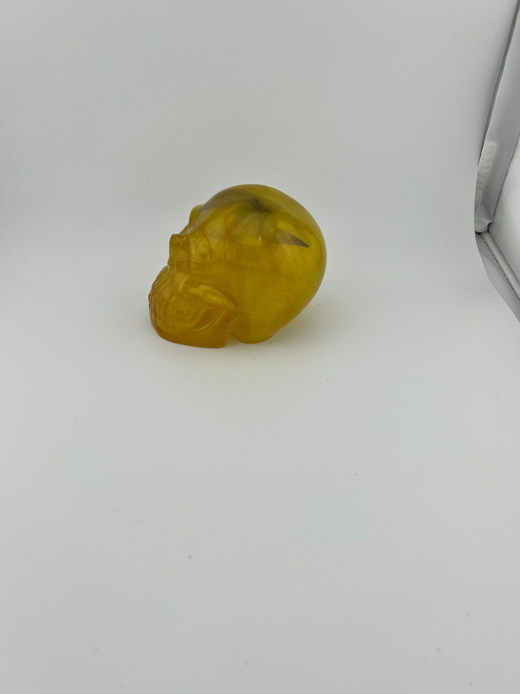 Resin Skull 5