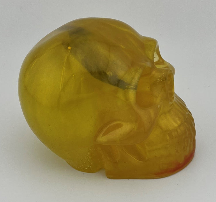 Resin Skull 5