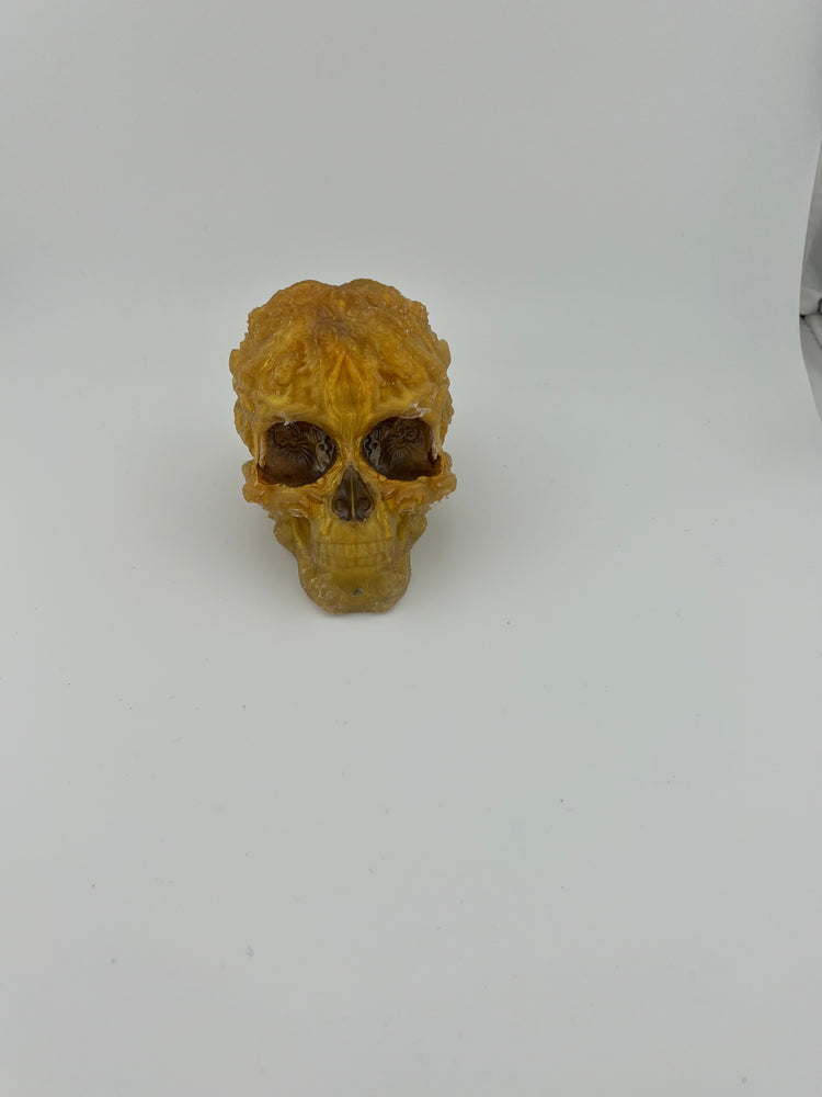 Resin Skull 10 Type 2