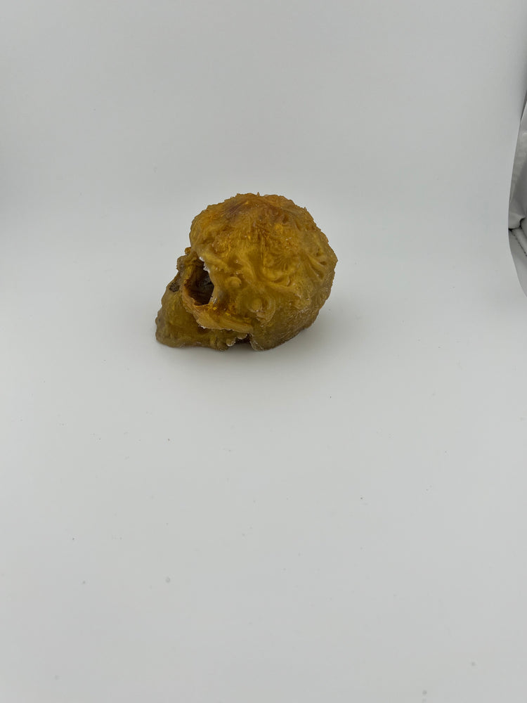 Resin Skull 10 Type 2