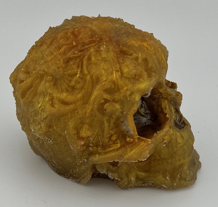 Resin Skull 10 Type 2