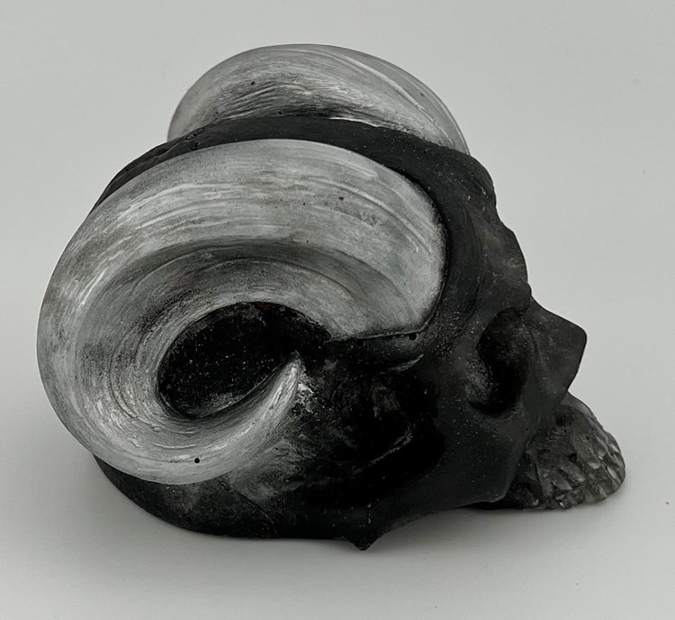 Resin Item 23103 Skull with Ram Horns