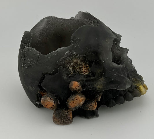 Resin Item 23104 Skull Votive / Dice Holder