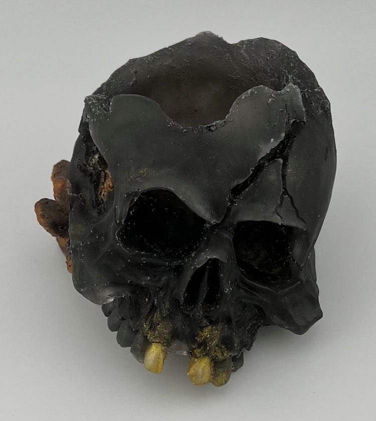 Resin Item 23104 Skull Votive / Dice Holder