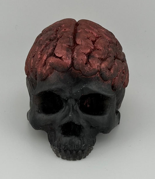 Resin Item 23108 Skull with Exposed Brain