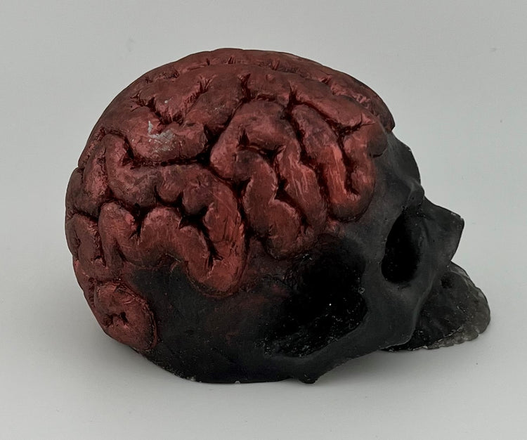 Resin Item 23108 Skull with Exposed Brain