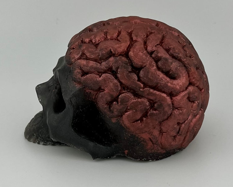 Resin Item 23108 Skull with Exposed Brain