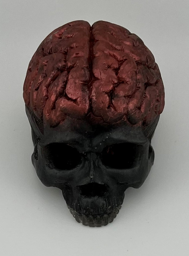 Resin Item 23108 Skull with Exposed Brain