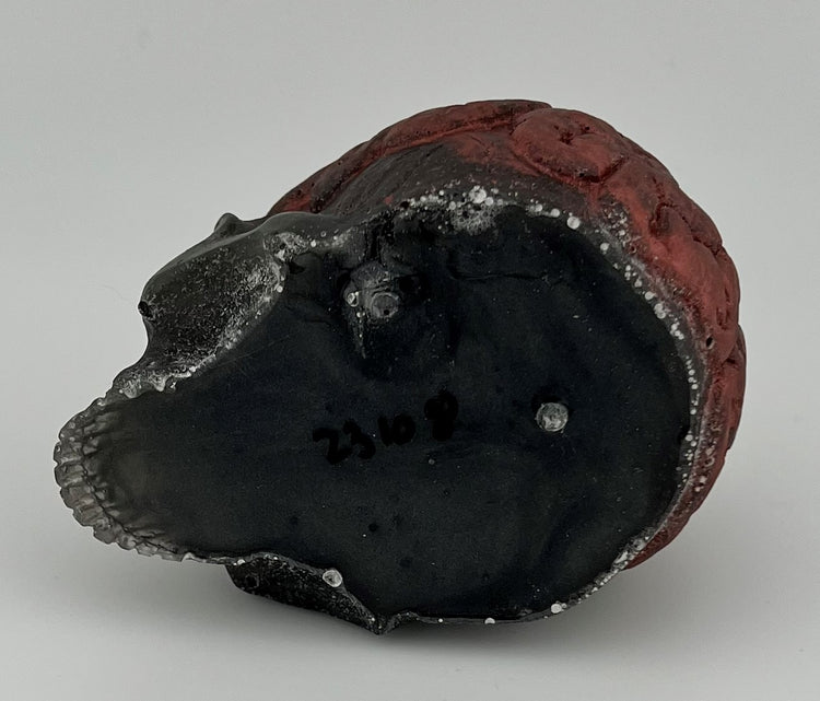 Resin Item 23108 Skull with Exposed Brain