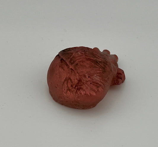 Resin Item 23124 Heart Anatomical Small