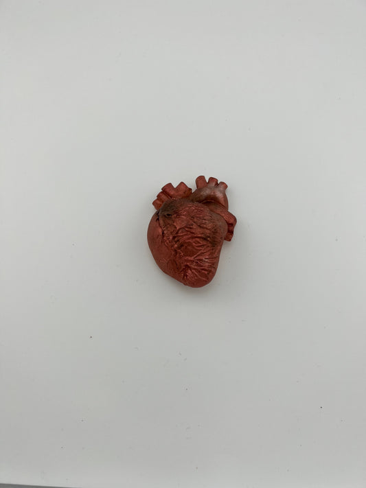 Resin Item 23124 Heart Anatomical Small