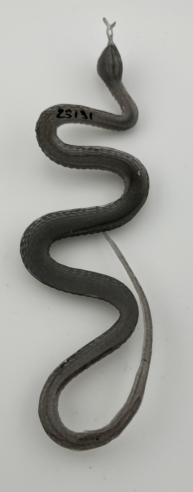 Resin Item 23131 Snake