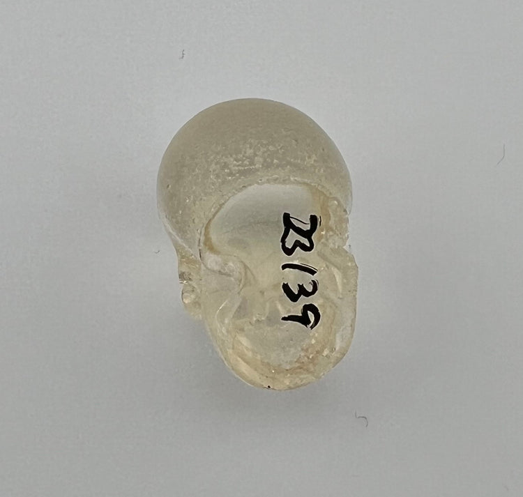 Resin Item 23139 Skull Miniature