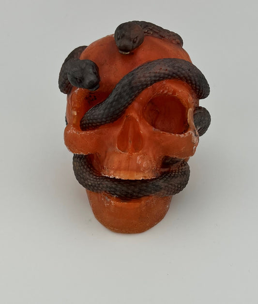 Resin Item 23142 Skull with Snakes Entwined