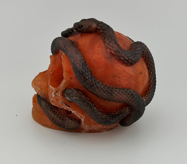 Resin Item 23142 Skull with Snakes Entwined