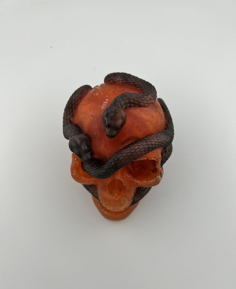 Resin Item 23142 Skull with Snakes Entwined