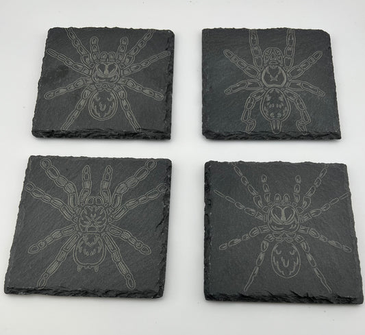 Coaster Slate Square Engraved Tarantulas