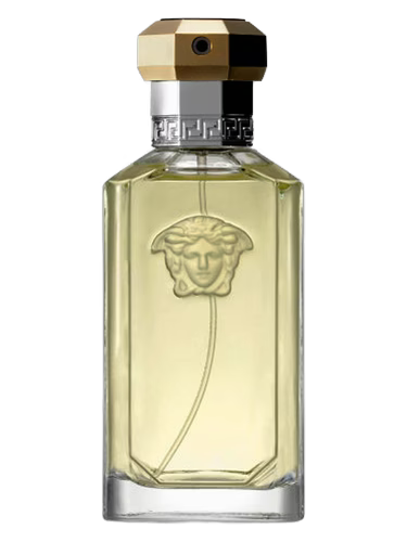 Versace The Dreamer 100mL 3.4FL OZ EDT TESTER Item 41